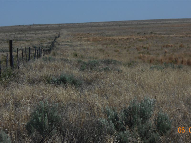 O Bar Farm : Nara Visa : Quay County : New Mexico