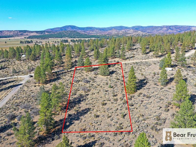 Tiny Home Dreams by Beatty, $250/Mo : Beatty : Klamath County : Oregon