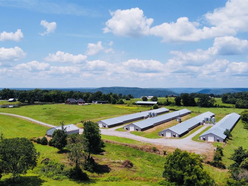 Reduced, Barr Broiler Farm : Grant : Marshall County : Alabama