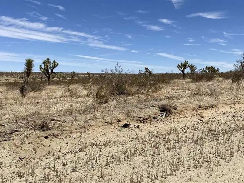 Road Frontage, Minutes To Lake LA : Black Butte : Los Angeles County : California