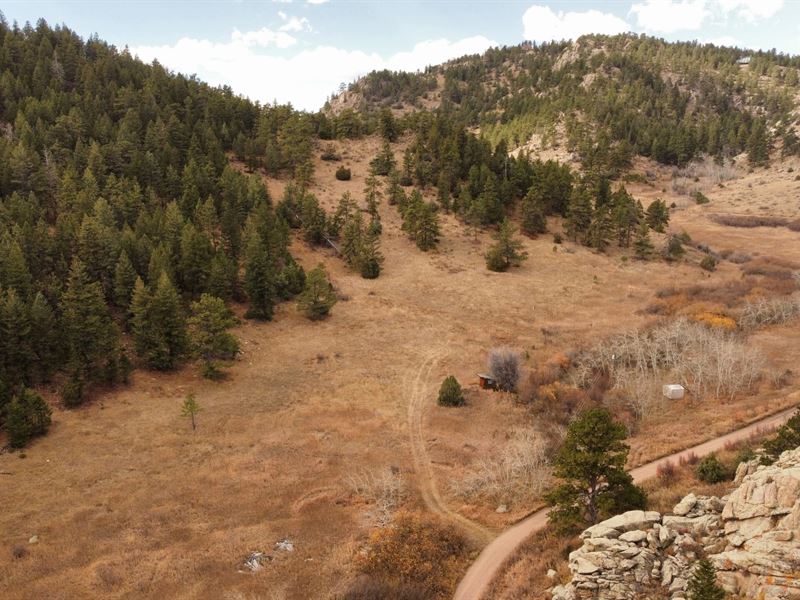 Walkabout Road : Livermore : Larimer County : Colorado
