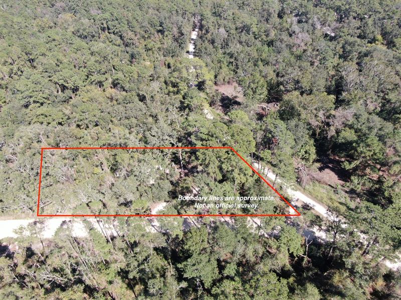 Awesome.63 Acre Recreational Lot : Lee : Madison County : Florida