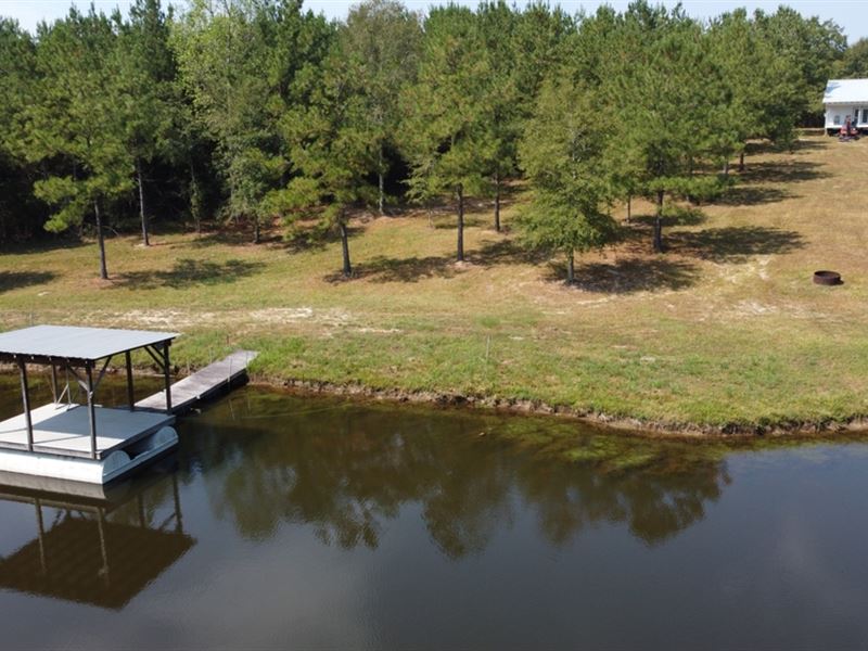 Hintonville Tract, Turn-Key Huntin : Richton : Perry County : Mississippi