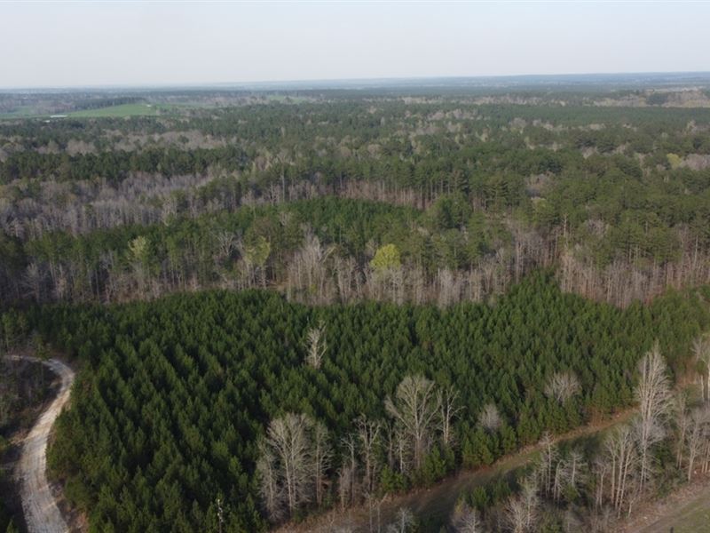 Highway 42, East Property : Runnelstown : Perry County : Mississippi