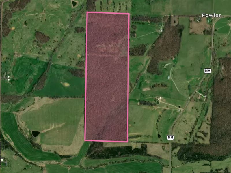 Highly Sought After Location : Mountain Grove : Texas County : Missouri