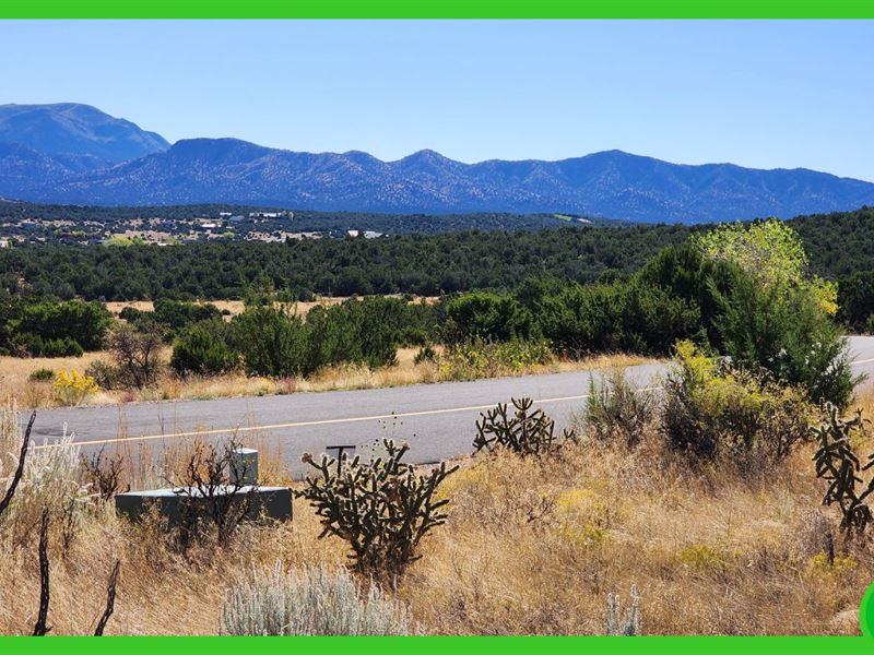 Spacious 11.57 Acres of Vacant Land : Sandia Park : Sandoval County : New Mexico