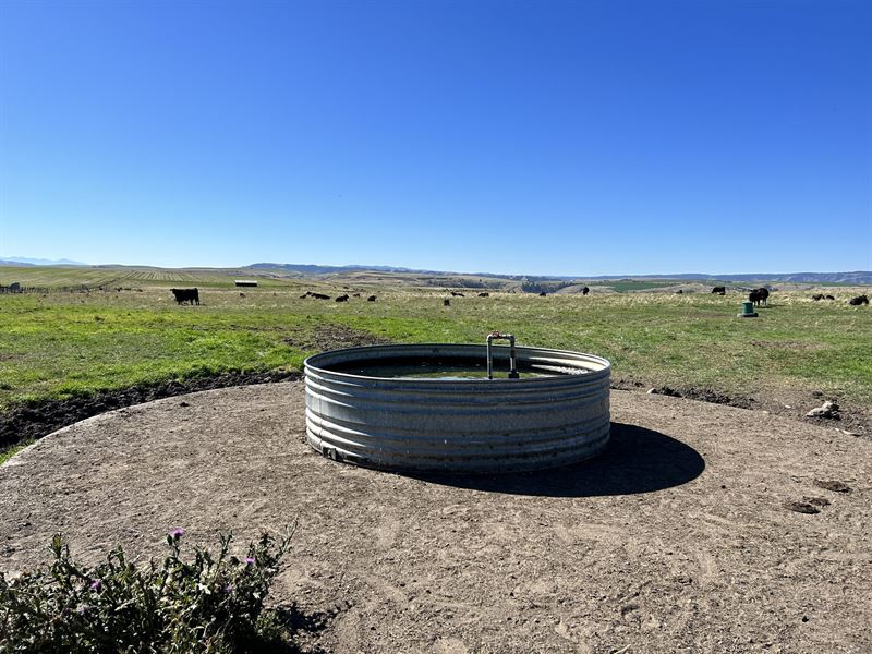 Hauger Cattle and Hunting Ranch : Grangeville : Idaho County : Idaho