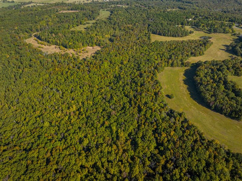 20 Acres, Hunting Property, Dra : Drasco : Cleburne County : Arkansas