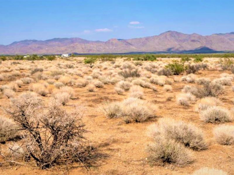 Living Off The Grid / Camping : Kingman : Mohave County : Arizona