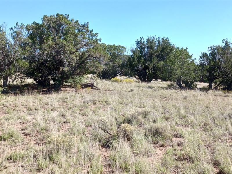 Be a Digital Nomad, $149/Mo : Sanders : Apache County : Arizona