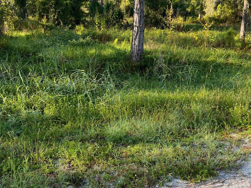 This Untouched Beauty Awaits : Punta Gorda : Charlotte County : Florida