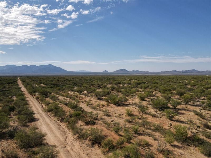 Ultimate Off-Grid Desert Escape : Tucson : Pima County : Arizona