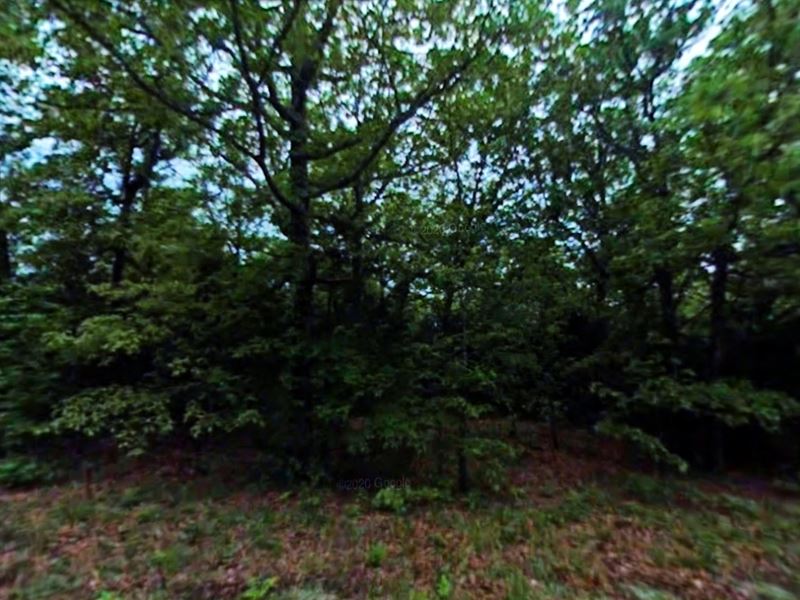 Your Horseshoe Bend, AR Retreat : Horseshoe Bend : Izard County : Arkansas