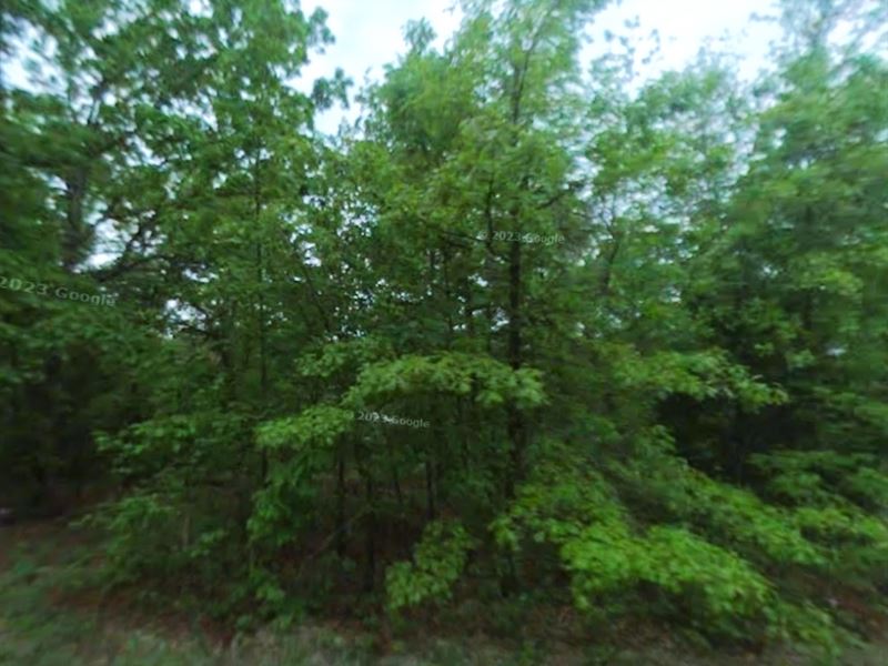 Your Premier Home in AR : Horseshoe Bend : Izard County : Arkansas