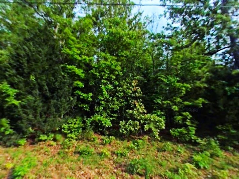 Tsala Dr Your Cherokee Village, AR : Cherokee Village : Sharp County : Arkansas