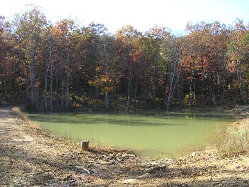 15 Acres, Lake, Views, : Dunlap : Sequatchie County : Tennessee
