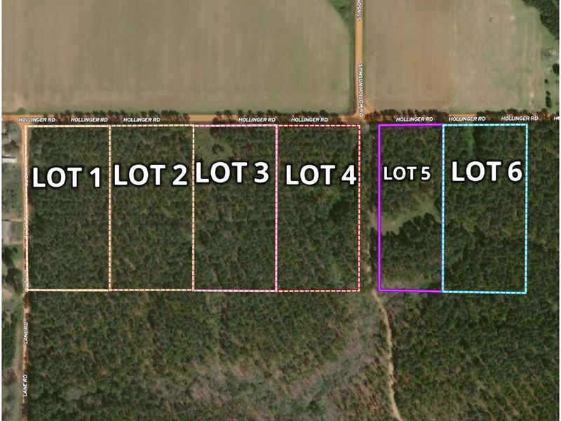 Hollinger Road Lots : Atmore : Monroe County : Alabama