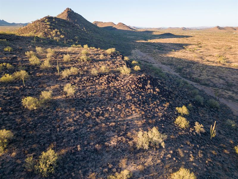 Mountain Bliss, Unique Opportunity : Wittmann : Maricopa County : Arizona