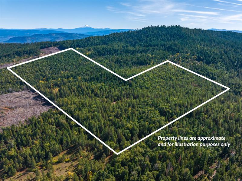 Paradise Creek 160 : Eagle Point : Jackson County : Oregon