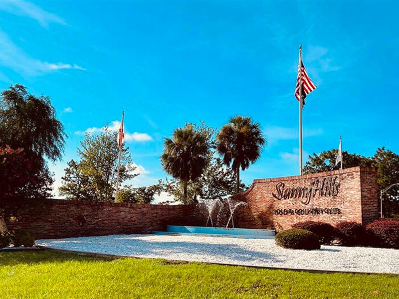 .26 Acre in Sunny Hills, Florida : Chipley : Washington County : Florida