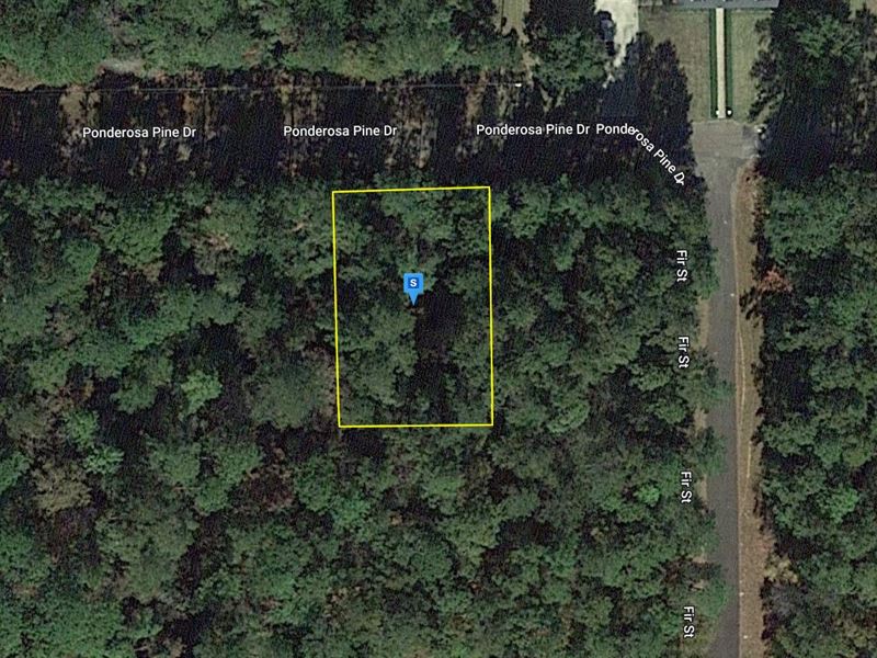 .23 Acre in Tyler County, TX : Warren : Tyler County : Texas