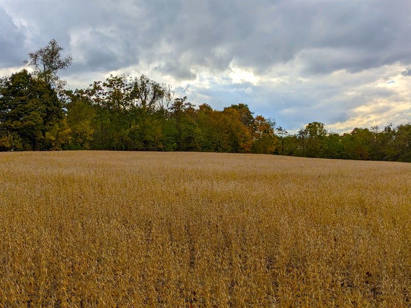 Great Location in N Perry County : Glenford : Perry County : Ohio