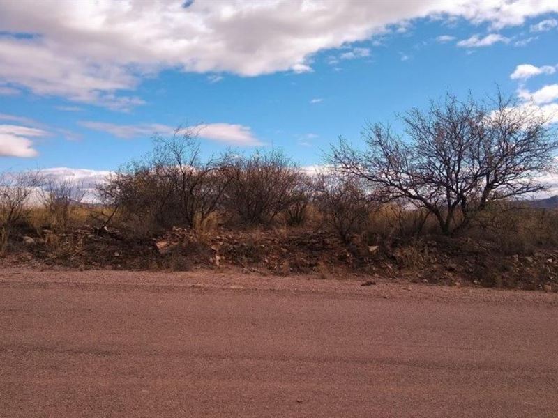 Relax in Privacy : Rio Rico : Santa Cruz County : Arizona
