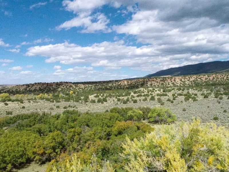Eureka Mesa, 60 Acres : Cuba : Sandoval County : New Mexico
