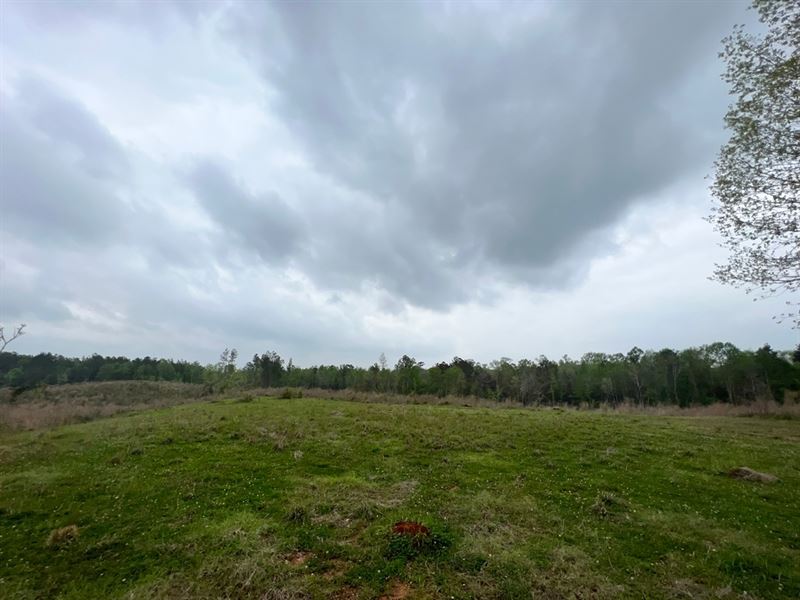 55 Acres in Walthall County, MS : Tylertown : Walthall County : Mississippi