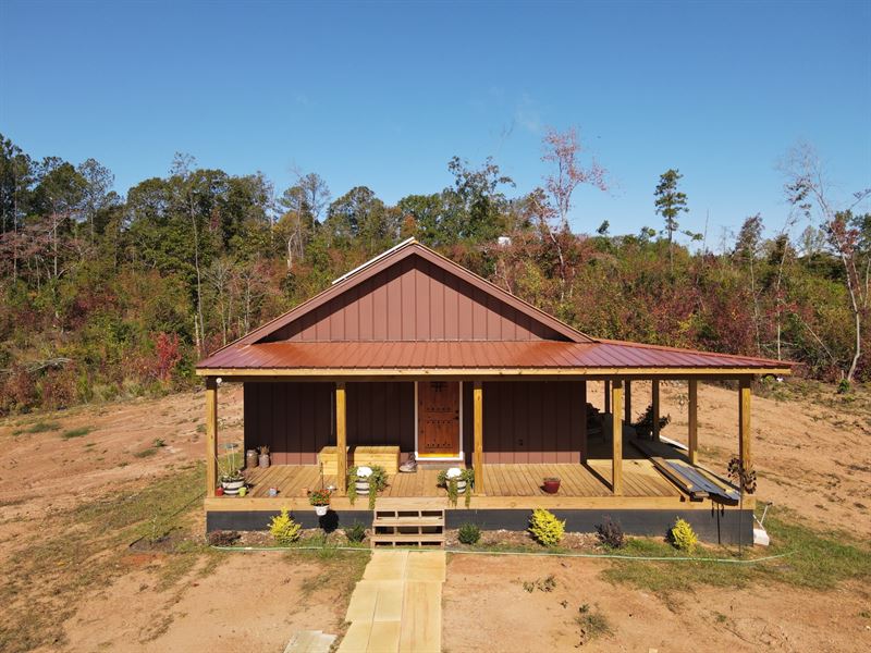 Off Grid Cabin 38 Acres : Goodwater : Clay County : Alabama