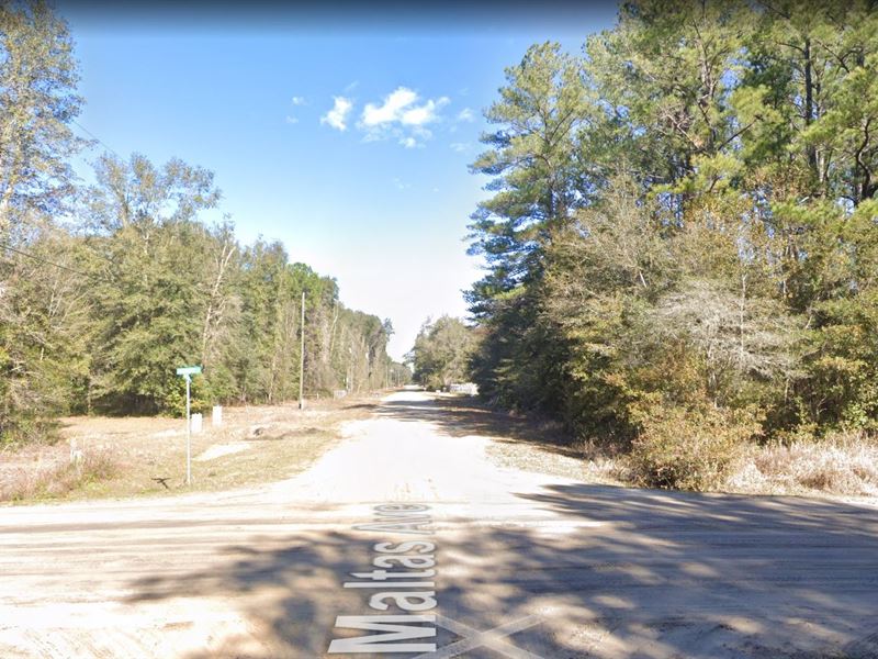 Mobile-Friendly Paradise : Interlachen : Putnam County : Florida