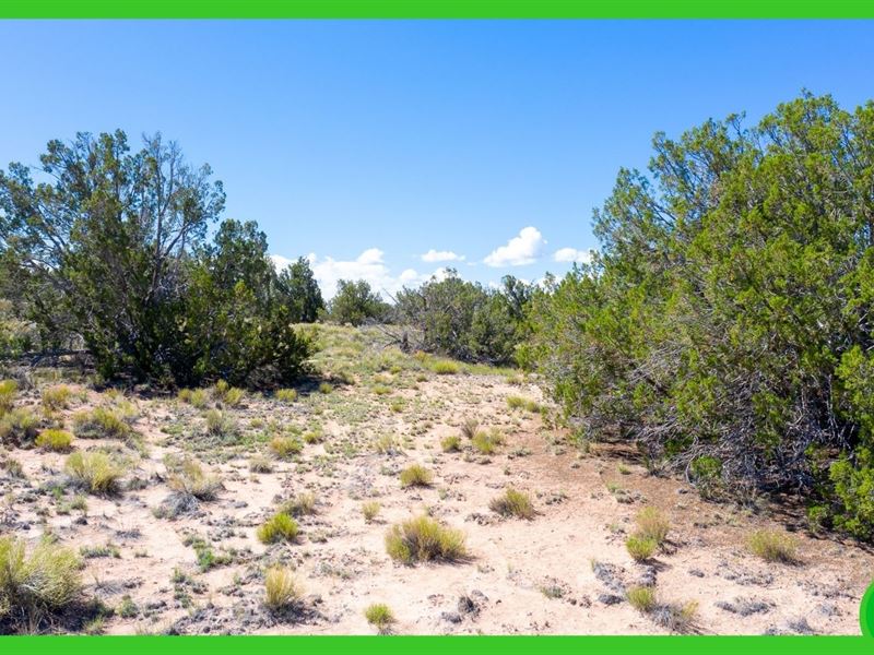 4.7 Acres in Chambers, AZ : Chambers : Apache County : Arizona