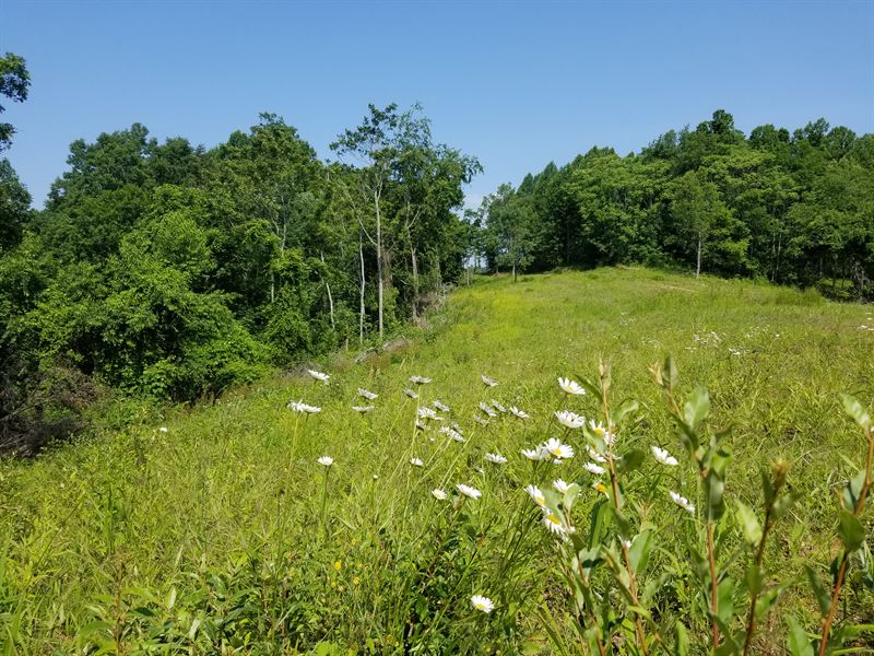 Mill Creek Tract : Milton : Cabell County : West Virginia