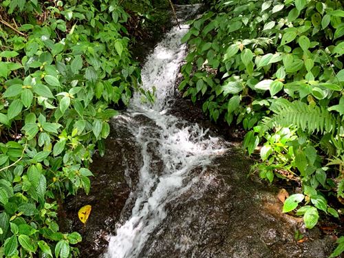 Mountain Home 17 Acres & Waterfalls : El Guarco : Costa Rica