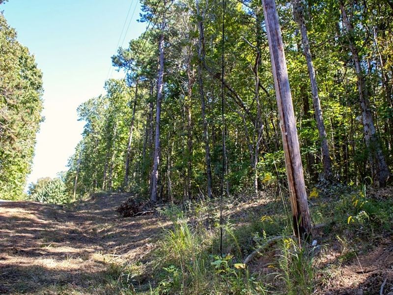.59 Acre Only $1 Down, $399/Mo : Toccoa : Stephens County : Georgia
