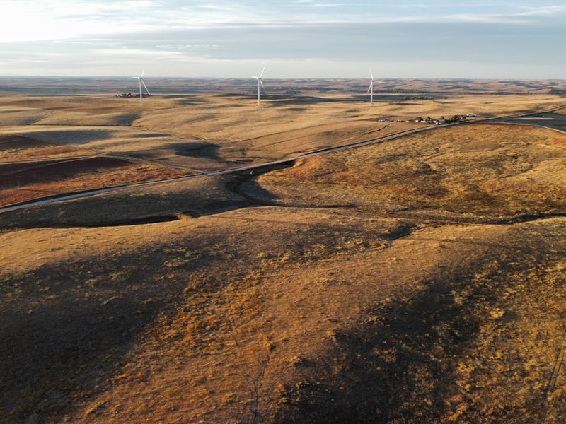 Simla Prairie 163 : Simla : Elbert County : Colorado