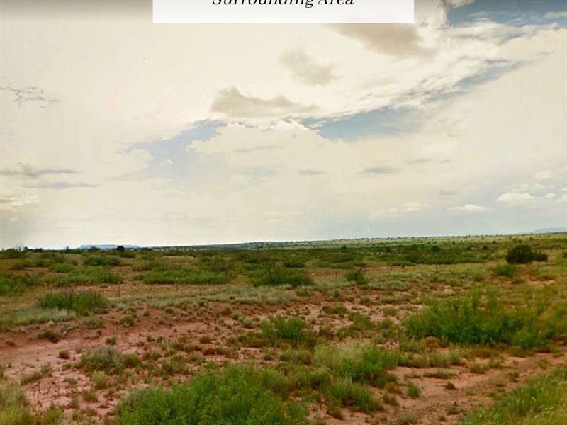 7.64 Acres Only 30 Min to Conchas : Garita : San Miguel County : New Mexico