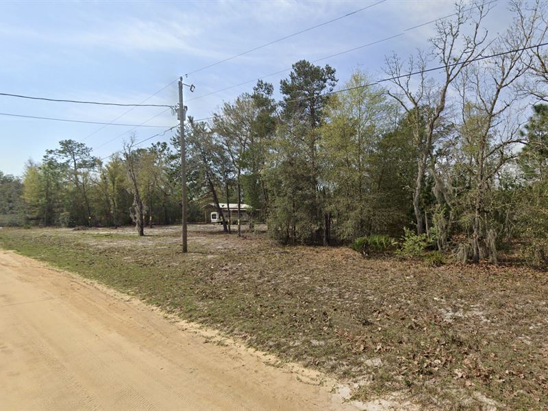 Interlachen, Get Your Warm Sunshine : Interlachen : Putnam County : Florida
