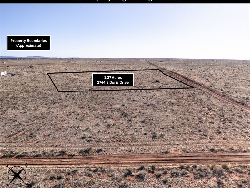 1.37 Acre Lot for Only $100 Down : Williams : Coconino County : Arizona