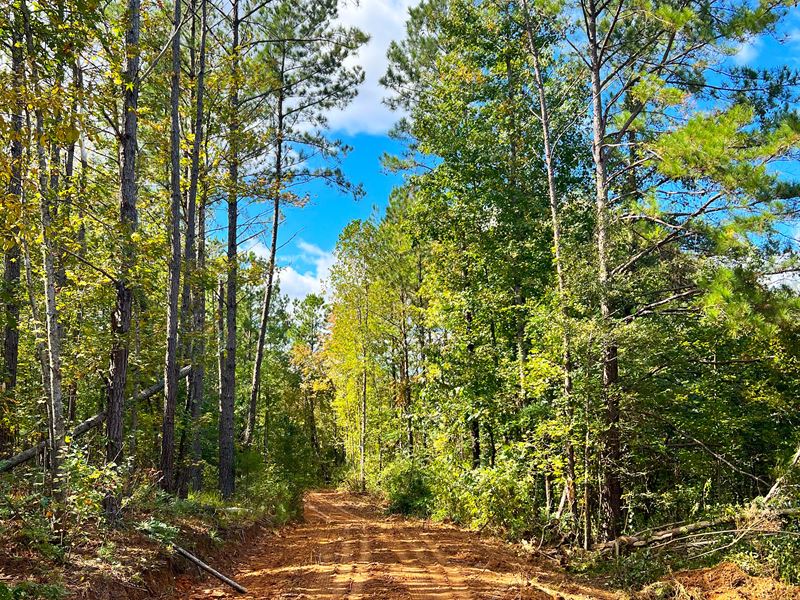 Gravel Creek Farmstead : Santuck : Elmore County : Alabama
