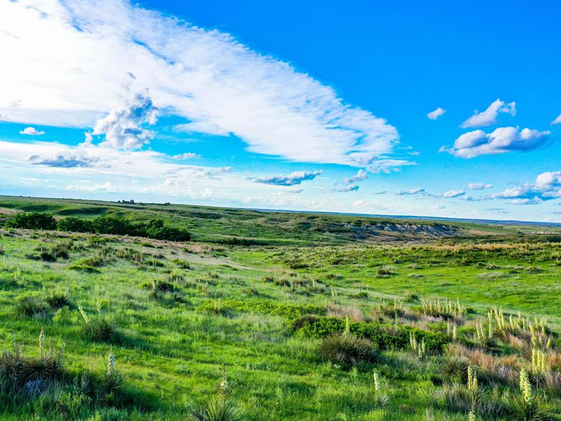 Gove County Canyons : Utica : Gove County : Kansas