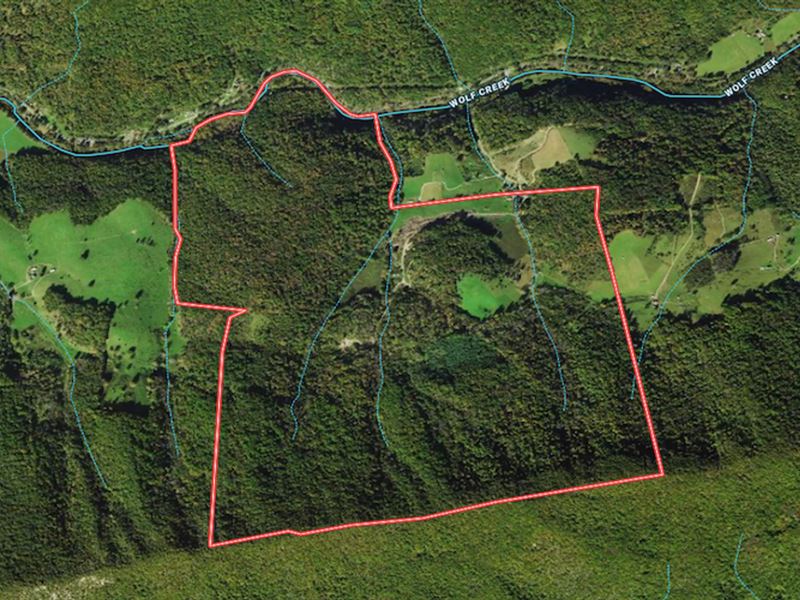 590 Acres of Residential / Farm : Narrows : Bland County : Virginia