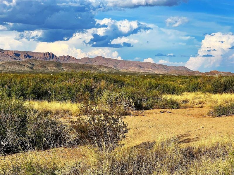 With Electric & No Restrictions : Alpine : Brewster County : Texas