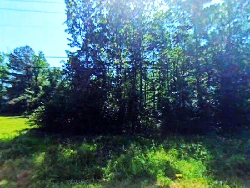 Adjacent Marvels Near Walmart : Camden : Ouachita County : Arkansas