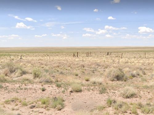 Unmatched Beauty, Grab Now : Sun Valley : Navajo County : Arizona