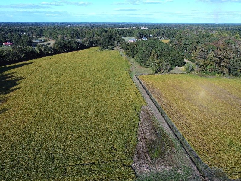 Small Farm with More Land Available : Whiteville : Columbus County : North Carolina