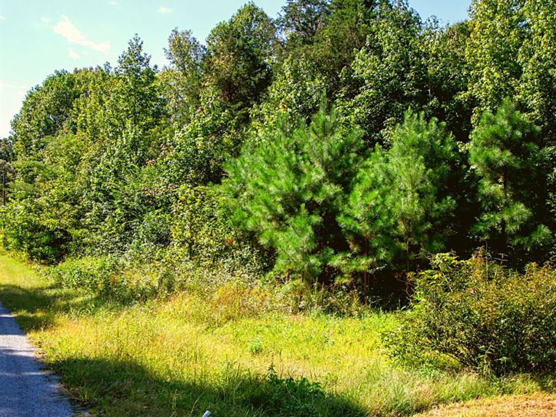 .93 Acre Only 25 Min to Jackson : Jackson : Carroll County : Tennessee