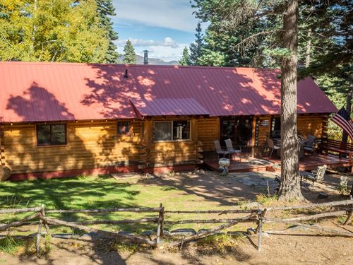 4745 Forest Lane Log Cabin, Howard : Howard : Fremont County : Colorado