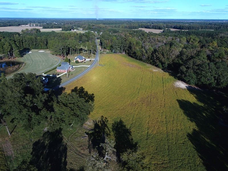 Pristine Cleared Buildable Lot : Whiteville : Columbus County : North Carolina
