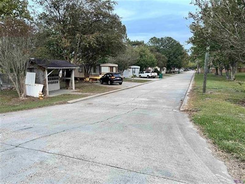 8990 Hwy 19, Zachary, LA : Zachary : East Baton Rouge Parish : Louisiana
